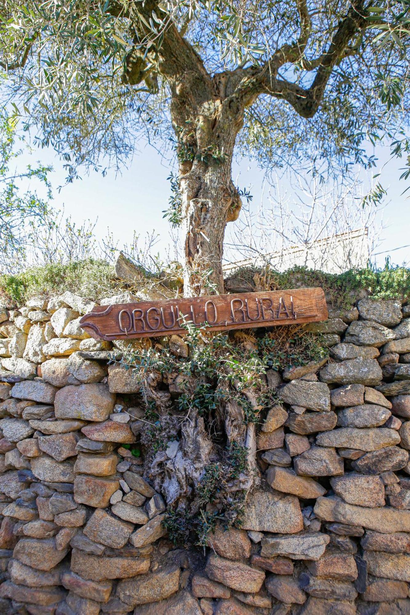 Casa Rural Therma Agreste Bermellar 외부 사진